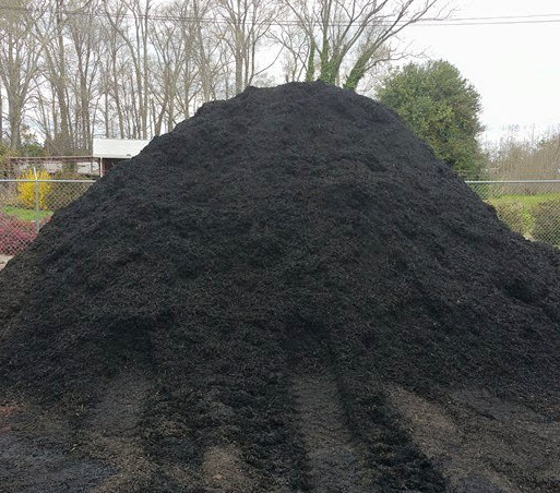 black mulch cropped