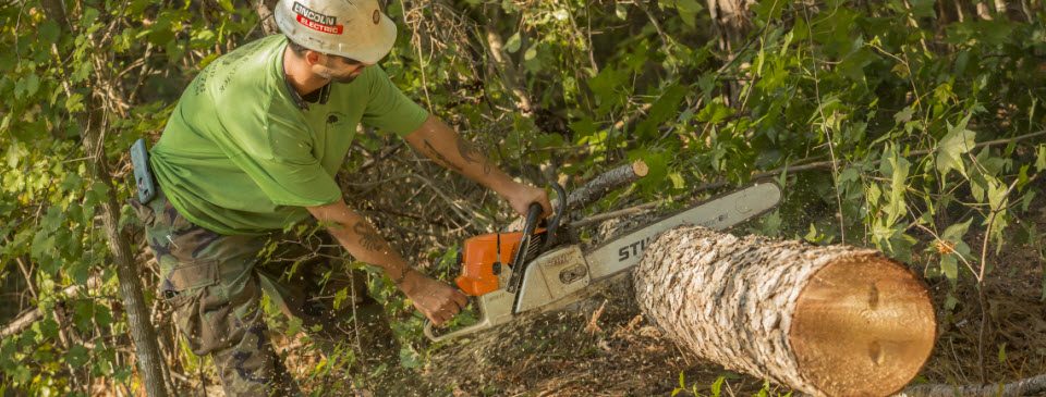 Tree removal pearland texas, Farmington AR